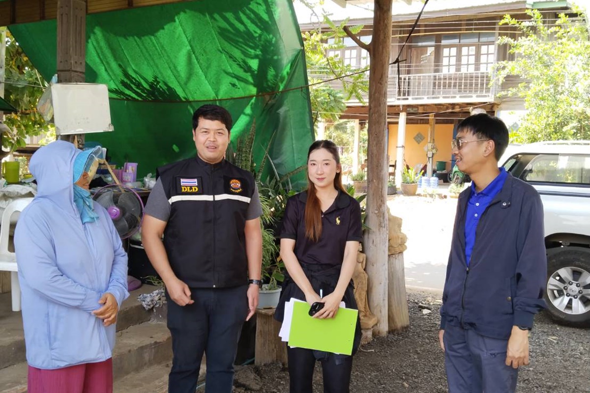 ศูนย์วิจัยและพัฒนาสุกร ดำเนินการตรวจเยี่ยม ติดตาม ผลการดำเนินงาน กิจกรรมเครือข่ายสัตว์พันธุ์ดีกรมปศุสัตว์ รอบที่1/2569 ของประจักษ์ฟาร์ม ศูนย์วิจัยและพัฒนาสุกร ดำเนินการตรวจเยี่ยม ติดตาม ผลการดำเนินงาน กิจกรรมเครือข่ายสัตว์พันธุ์ดีกรมปศุสัตว์ รอบที่1/2569 ของประจักษ์ฟาร์ม